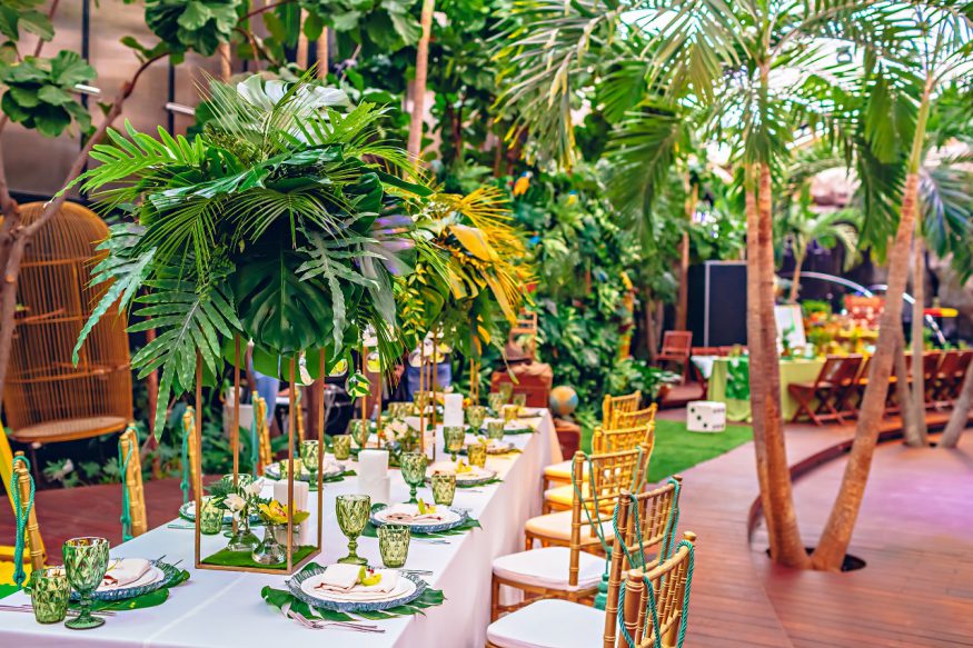 Throwing the Coolest Tropical Paradise Themed House Party: Get Ready to Island Vibes!