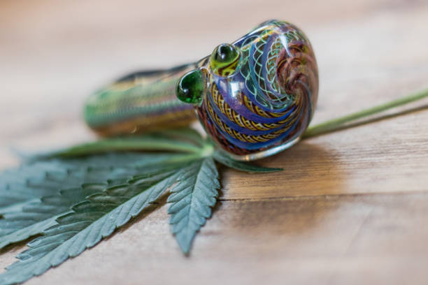 OnlyBongs Rastafari