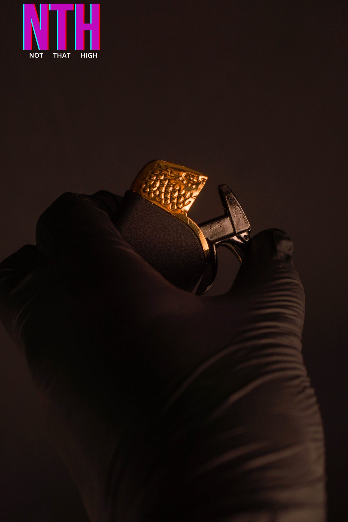 NTH Advenga Eagle Head Shape Lighter – Power Forged in Metal