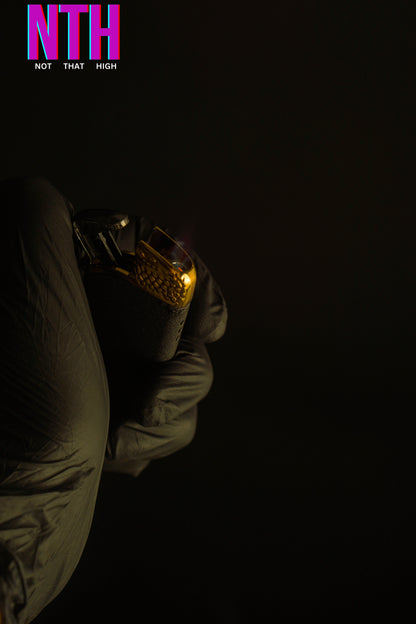 NTH Advenga Eagle Head Shape Lighter – Power Forged in Metal