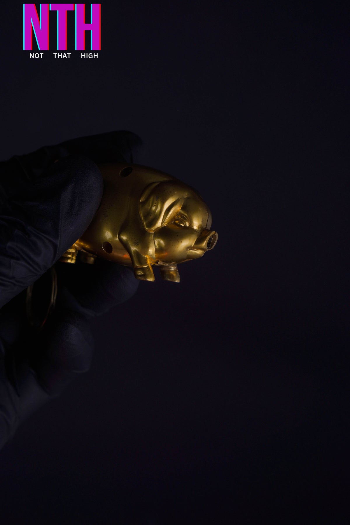 NTH Golden Pig Lighter – A Symbol of Luck, Luxury & Style