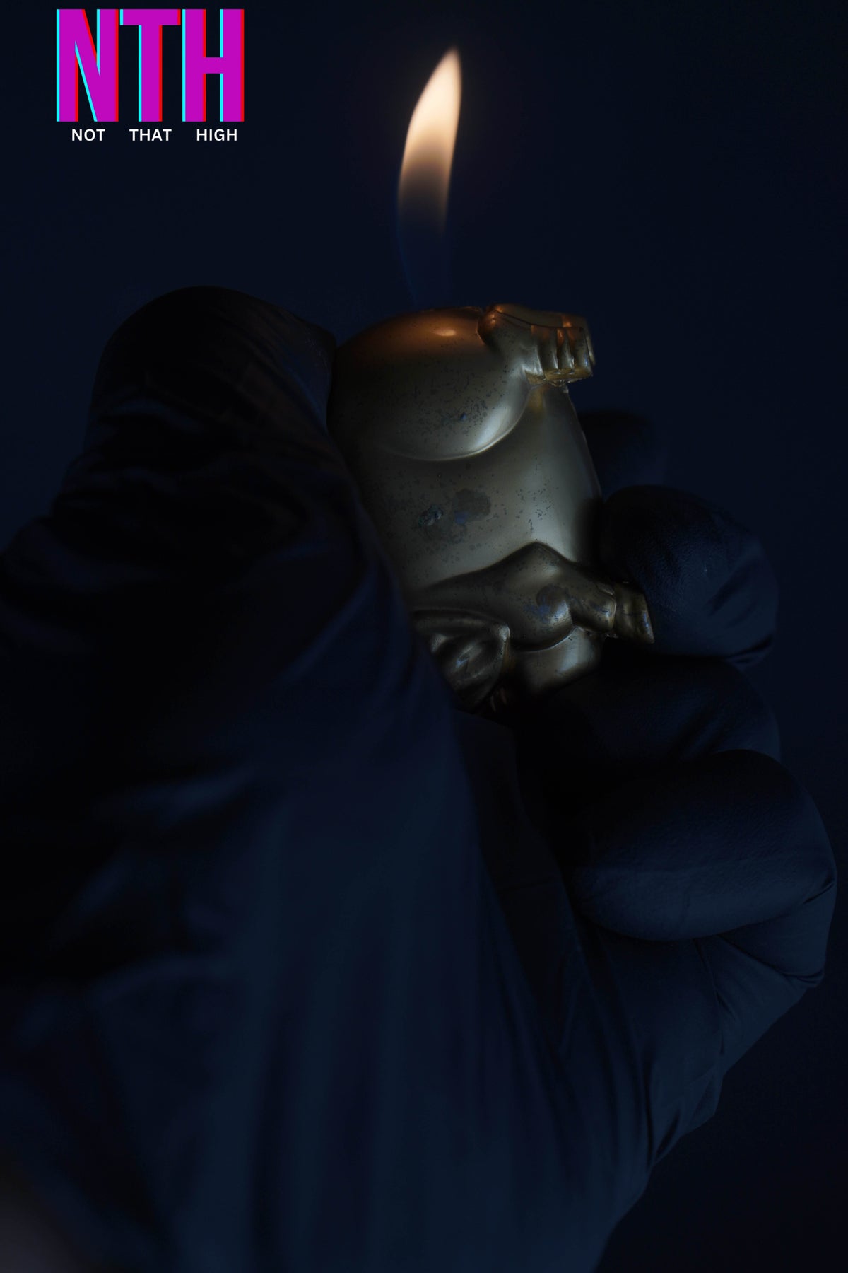 NTH Golden Pig Lighter – A Symbol of Luck, Luxury & Style
