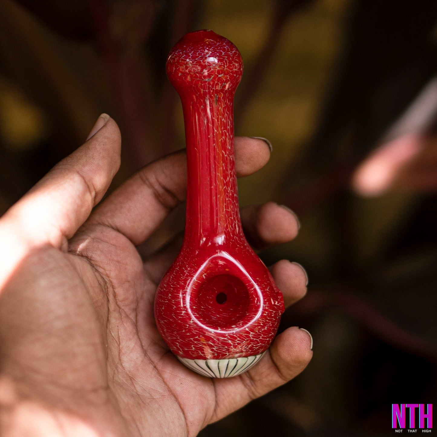 Onlybongs Seahorse Water Pipes | Not That High